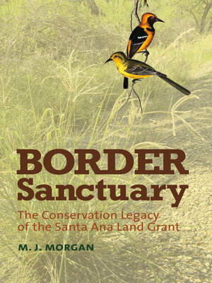 cover image of Border Sanctuary